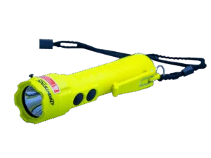 Western Instruments Intrinsically Safe Flashlight