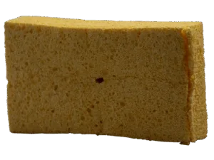 M1 Sponge