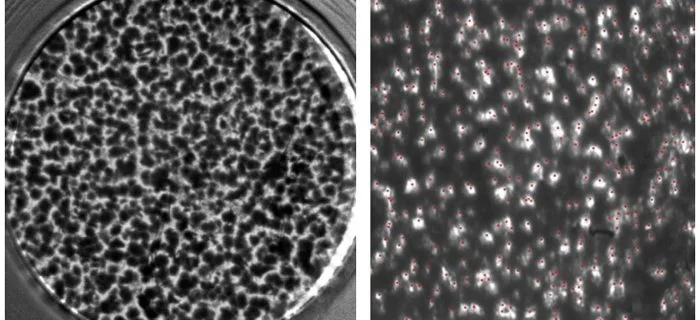 peak density optical grade replica tape