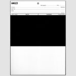 Form 2C Opacity Chart (250 pk)