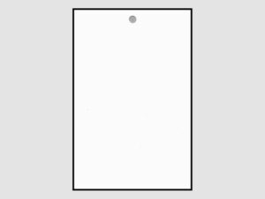 Leneta Form WDX Plain White Card