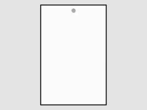 Leneta Form WDX Plain White Card